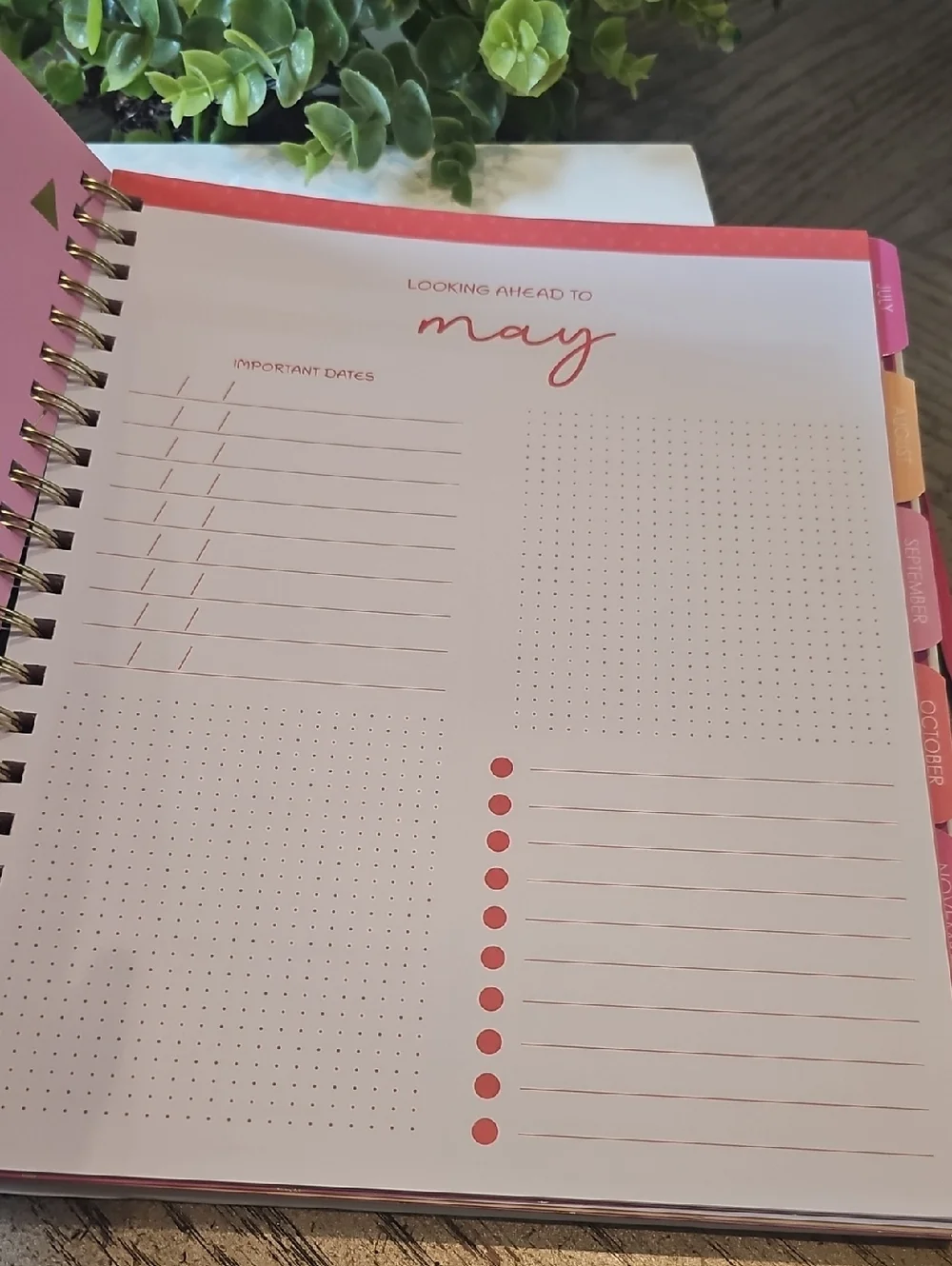 Busy Overthinking 2026 Weekly Planner - White with Multicolor Dots NWT